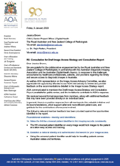 Consultation for Draft Image Access Strategy and Consultation Report.1