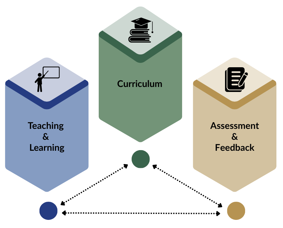 Curriculum Framework1.1