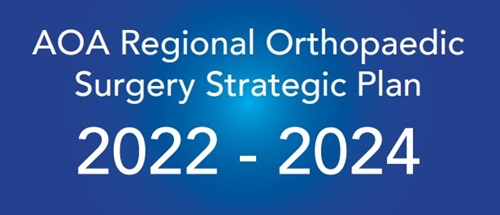 Regional Orthopaedic Surgery Strategic Plan 22-24_icon2 Regional Orthopaedic Surgery Strategic Plan 22-24_icon2