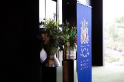AOA_VIC23_499
